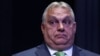 Hungarian Prime Minister Viktor Orban said victory in the elections "is needed" and predicted that Fidesz would receive "reinforcements" from every European country and be able to form a pro-peace European coalition in Brussels.