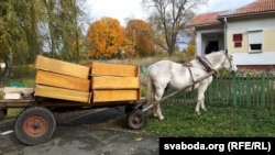 Бяз коніка і бібліятэка не абыходзіцца