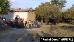 Паёмадҳои зилзила дар Арбобдараи Ваҳдат.