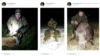 Новы «лясны» міністар Беларусі выдаліў старонку «ЎКантакце» з ФОТА паляўнічых трафэяў