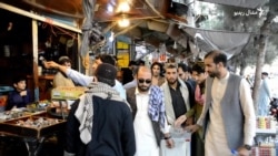 د خوست ځوانانو د کونړ زلزله ځپلو ته د مرستو ټولول پیل کړي دي