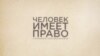 Мертвые птицы, черные пляжи