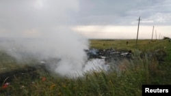 Обломки Boeing 777 компании Malaysia Airlines в районе села Грабово в Донецкой области, 17 июля 2014 года.