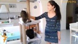 "Котокафе" в Астане