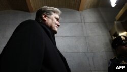 Steve Bannon