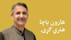 انجینر مومند وايي د غني خان او حمزه شينواري شعرونه يې په شوق ويلي دي